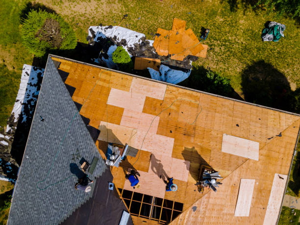 Best Roof Gutter Cleaning  in Hillcrest Heights, MD