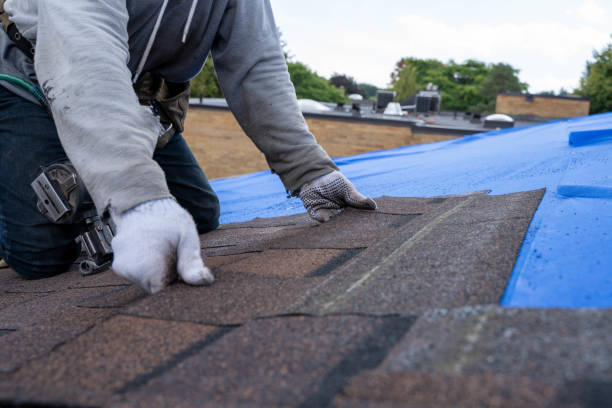 Best Storm Damage Roof Repair  in Hillcrest Heights, MD