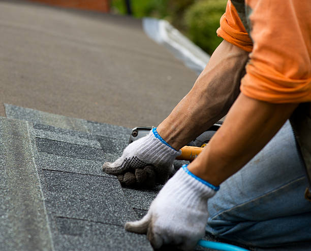 Roof Waterproofing Services in Hillcrest Heights, MD